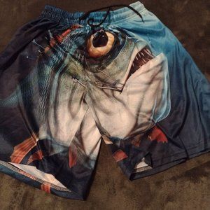 XL Mens Swim Suit